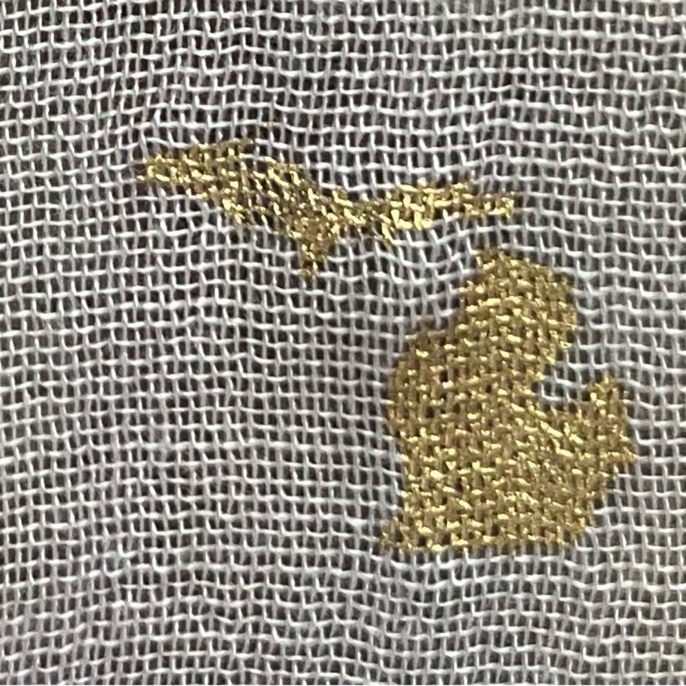 Scarf Sheer fabric/Gold Michigan Accents fringed 36 x 67 smoke and pet free home